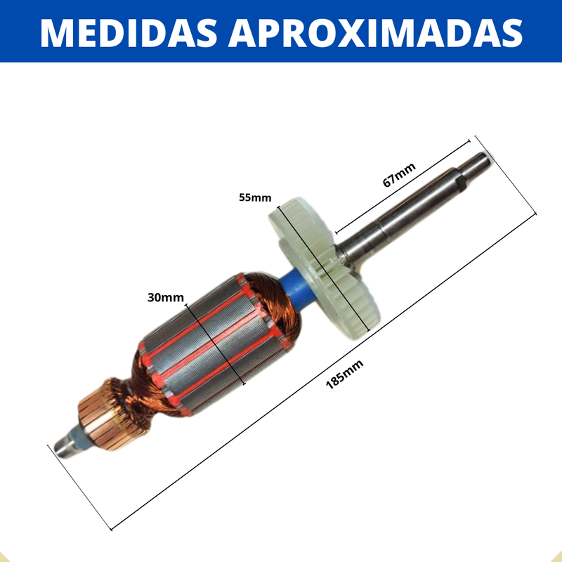 Induzido 220v p/ Lixadeira de Parede WS4463K Wesco